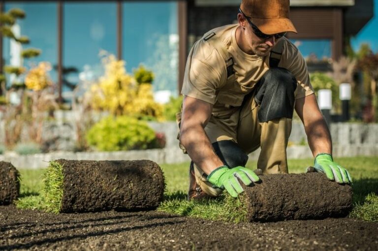 Landscaper Jobs in Canada With Free Visa Sponsorship | Eligibility + Application